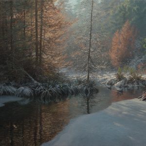 Frozen Pond