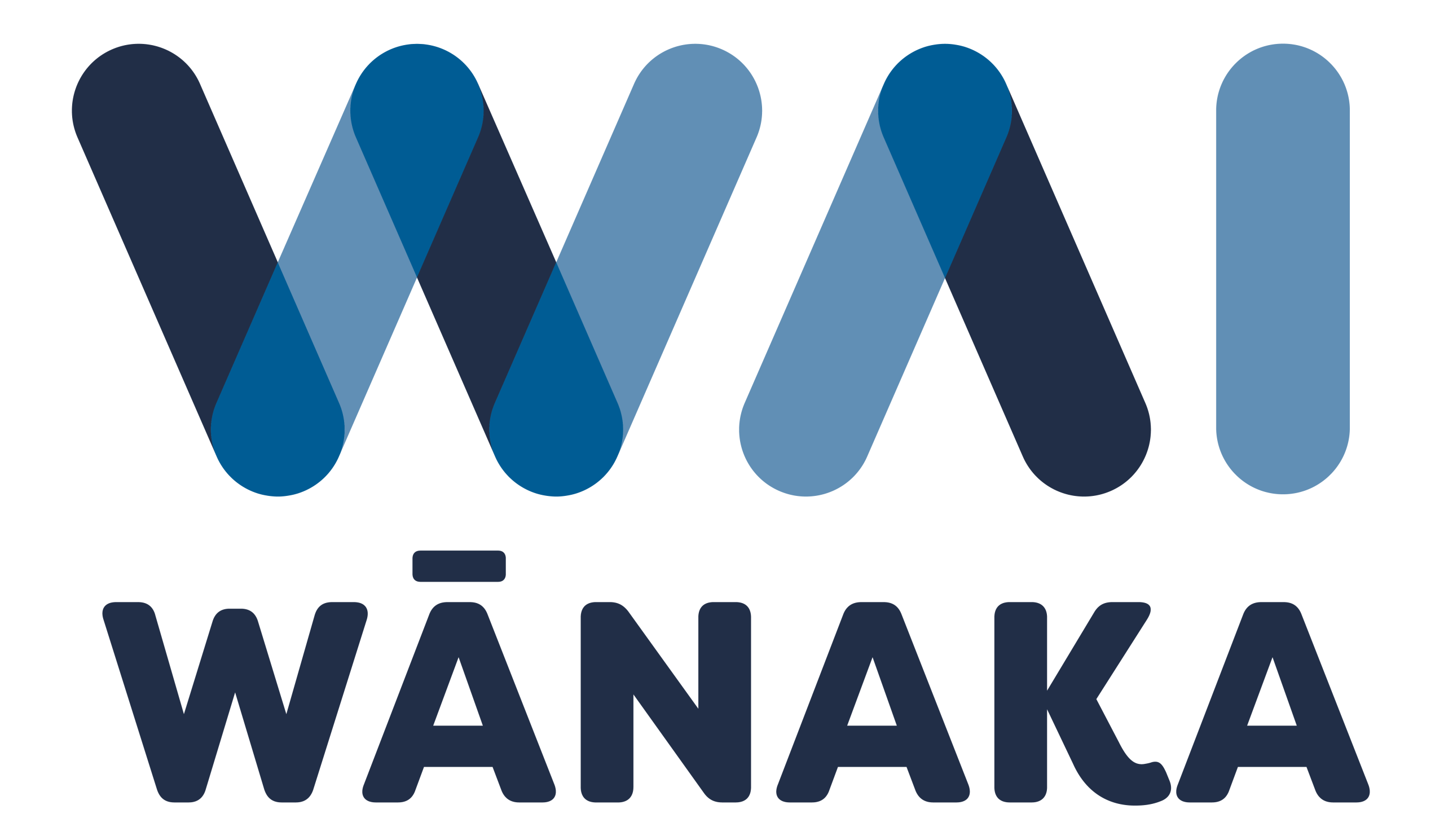 WAI logo